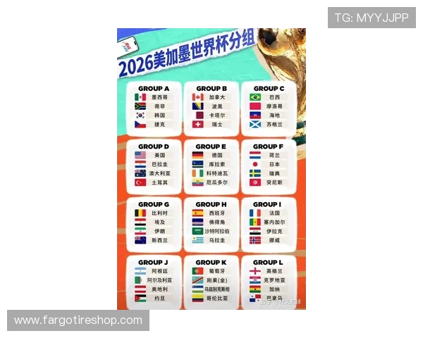 2026年足球世界杯的举办地预测与各候选国家的详细分析